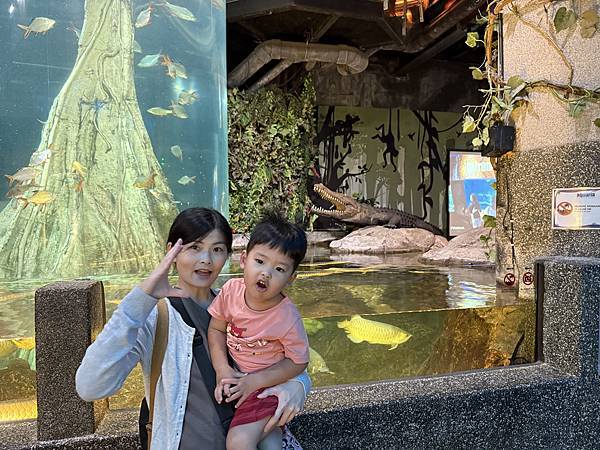 2024吉隆坡 Day2 吉隆坡水族館 吉隆坡塔