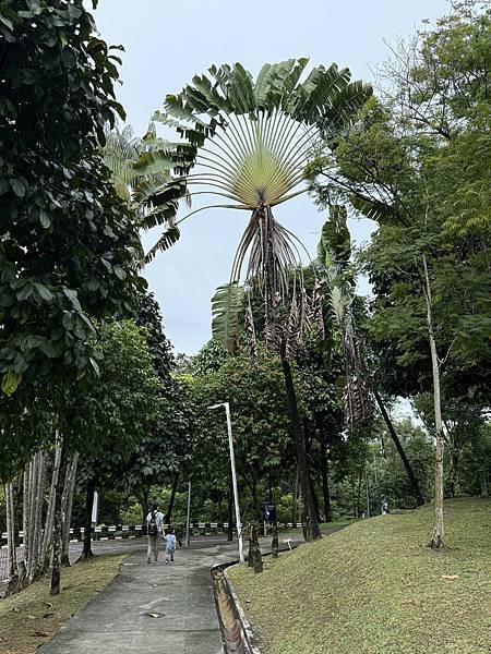 2024吉隆坡 Day4 & 5 完