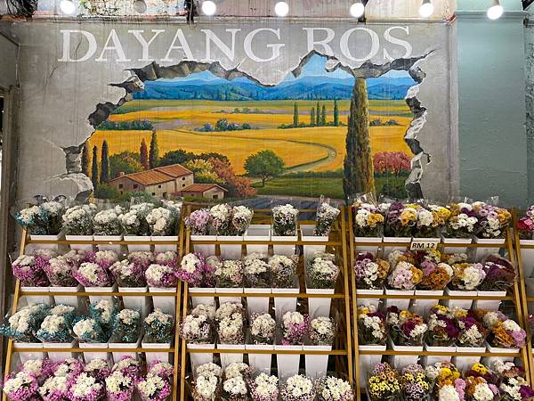 2024吉隆坡 Day4 & 5 完