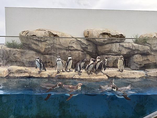 2025日本東北之旅 Day2