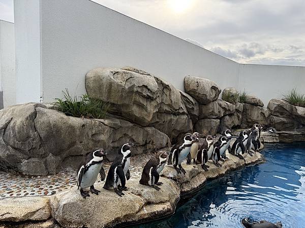 2025日本東北之旅 Day2