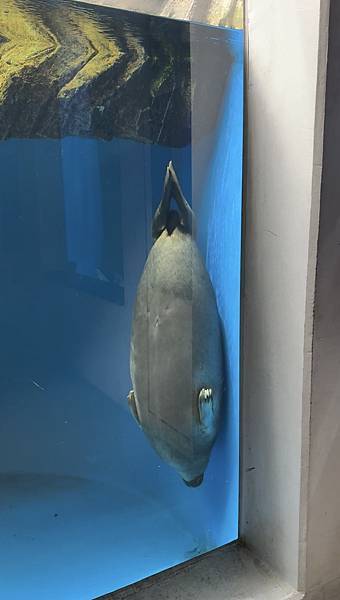 2025日本東北之旅 Day2