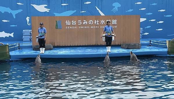 2025日本東北之旅 Day2