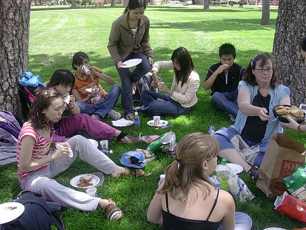 picnic in ESL