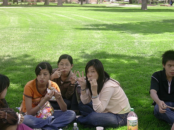 picnic in ESL