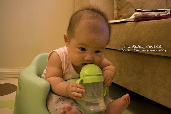 IMGP0273.jpg