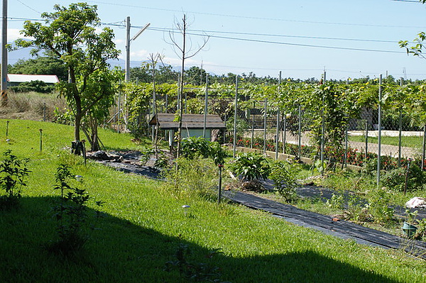 田園生活