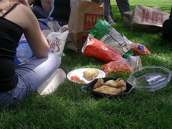 picnic in ESL