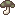 mushroom_09