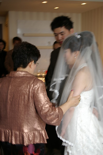 IMGP5541