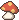 mushroom_07