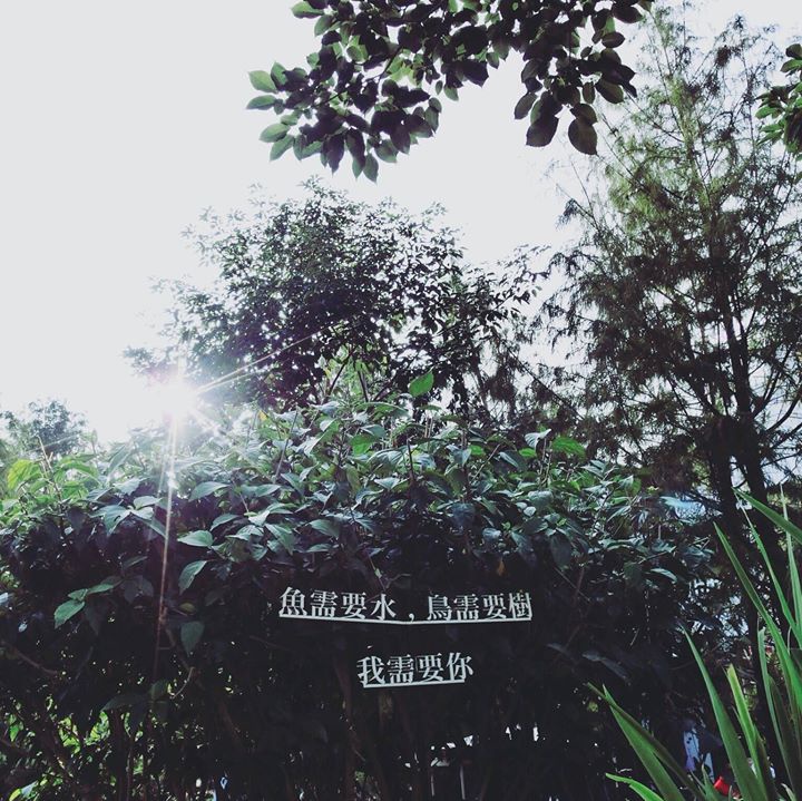 15003383_1533944699955863_410491525667809061_o.jpg 15003383_1533944699955863_410491525667809061_o.jpg