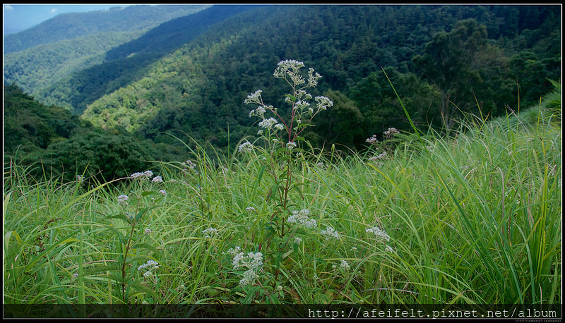 P1320253 (1)