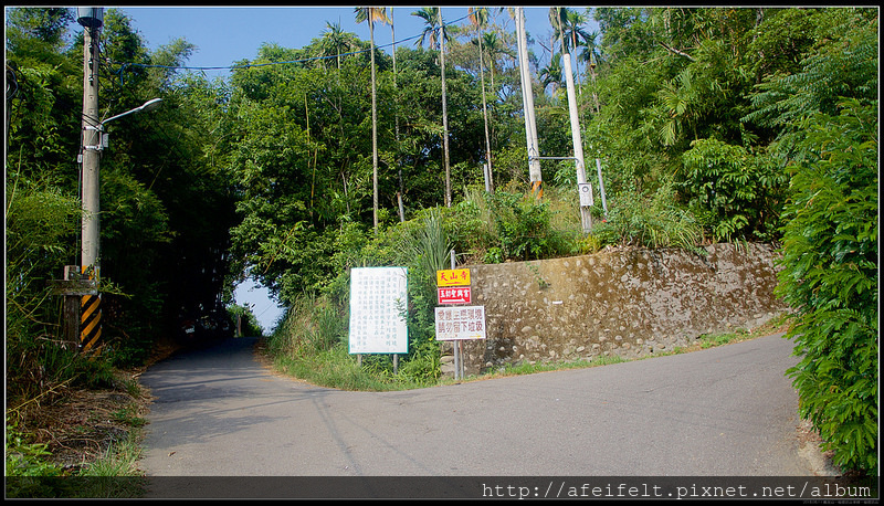 P8111875 (1)