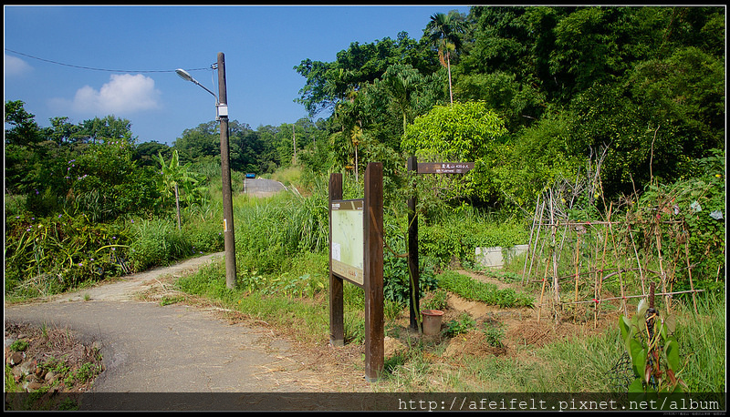 P8111876 (1)