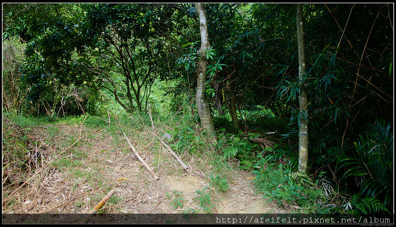 P8111879 (1)