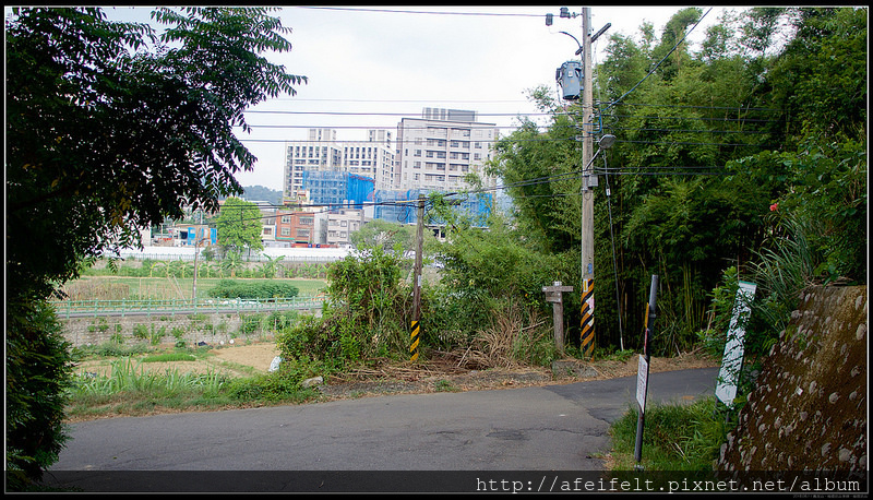 P8111945 (1)