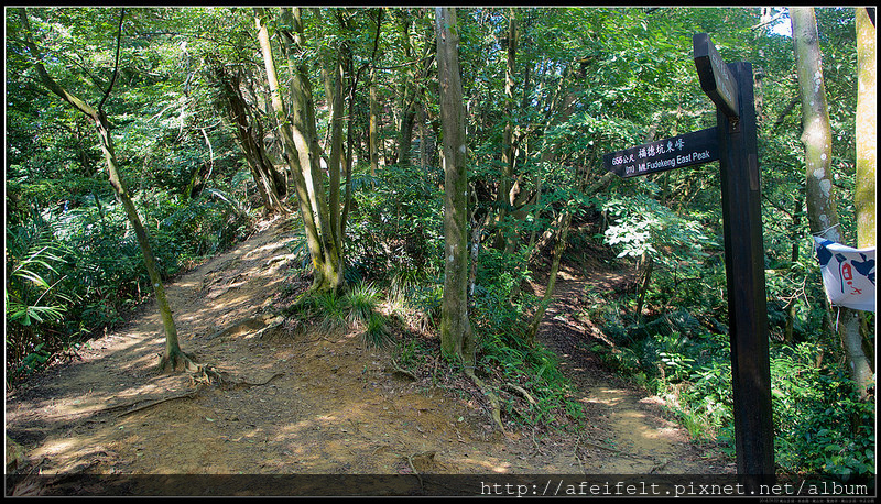 P9022056 (1)