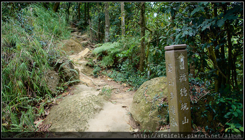 P8111923 (1)
