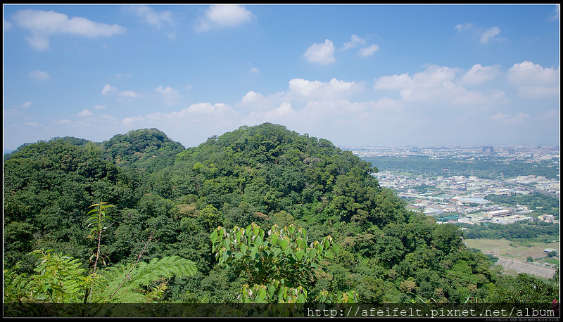 P9022087 (1)