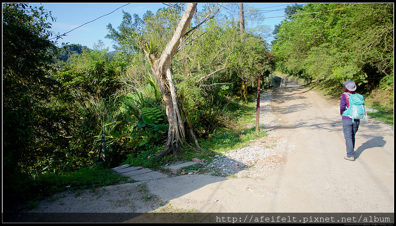 P3299846 (1)
