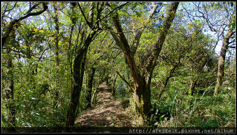 P3299937 (1)
