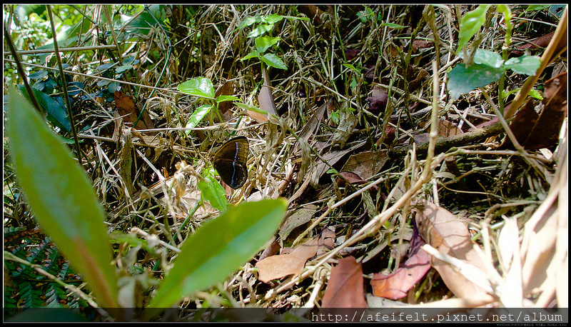 P3299945 (1)
