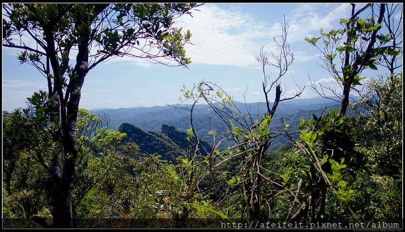P3299962 (1)