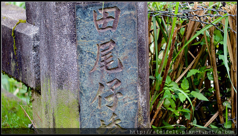 P3098962 (1)