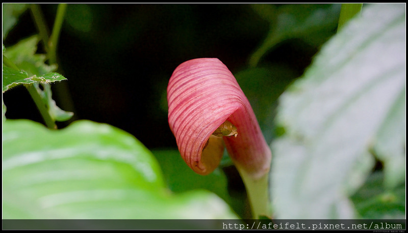 P3098989 (1)