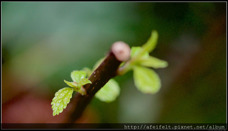 P3098973 (1)