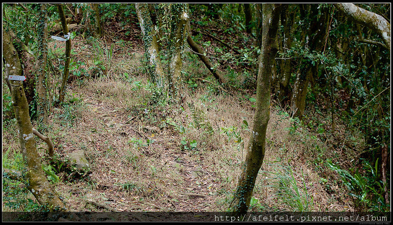 P3099020 (1)