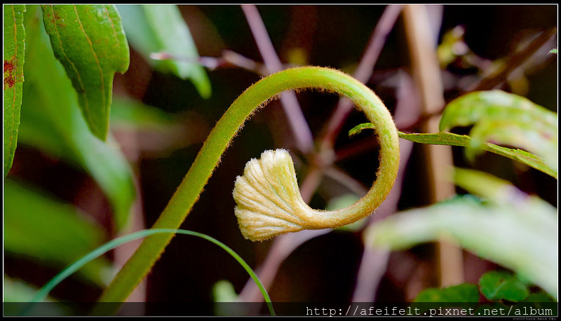 P3099053 (1)