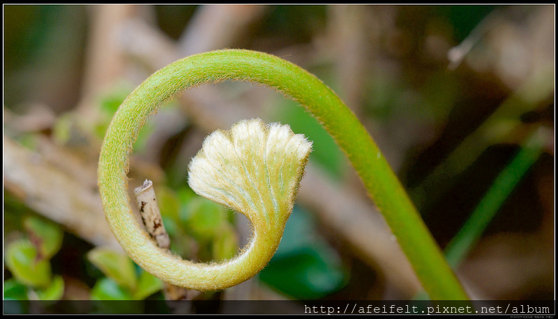 P3099056 (1)