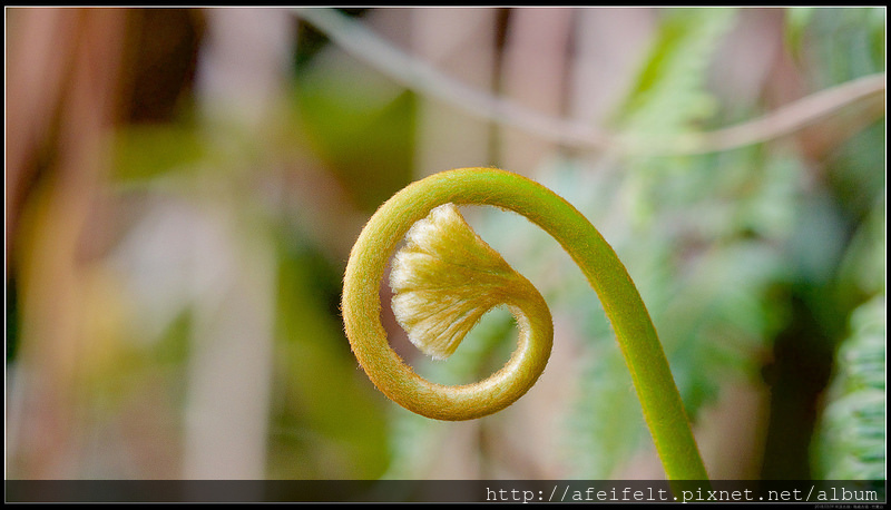 P3099065 (1)