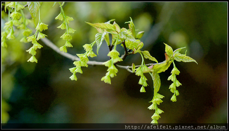 P3099077 (1)