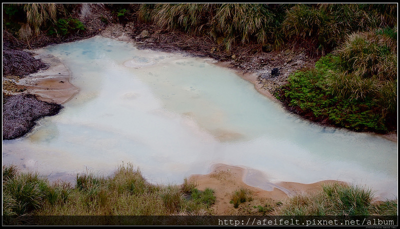 P3099085 (1)