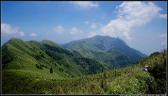 P7250336 (1)
