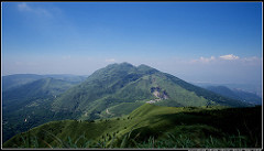 P7250325 (1)