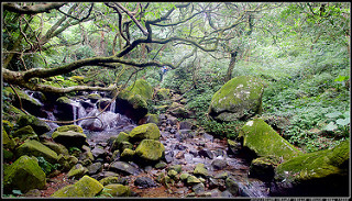 2015.07.25 小觀音山群峰（小觀音山西峰、小觀音山主峰、小觀音山北峰）、菜頭崙山、大屯溪古道