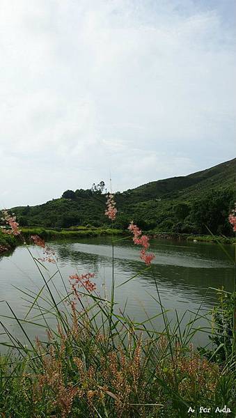 請輸入圖片標題