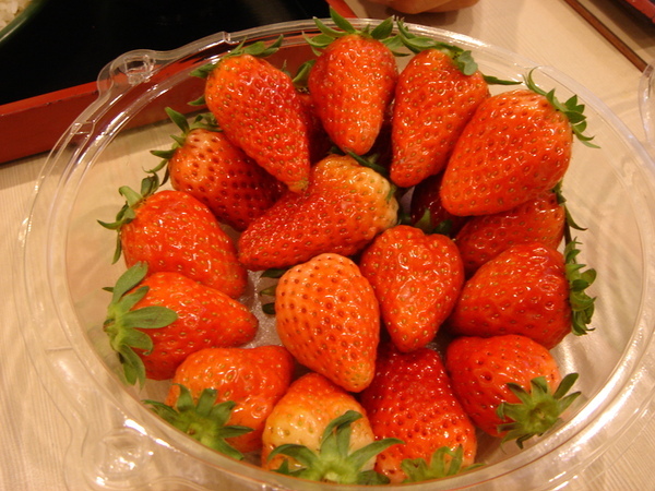 有機草莓