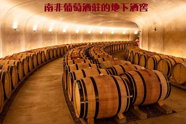 winery-barrel-room