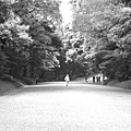 20060508-17-神宮通路的黑白照片.JPG
