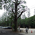 20060509-15-靖國神社的正面通路.JPG