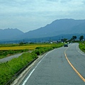 043 九州橫斷道路.JPG