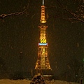 057 札幌電視塔--下大雪.JPG