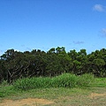 龍磐公園