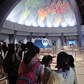 CIMG0156