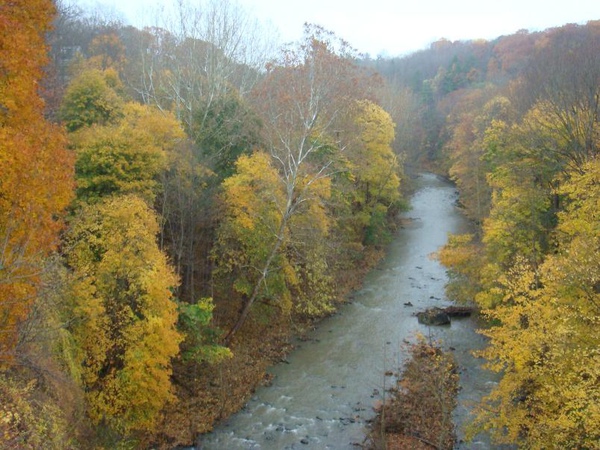 Six Mile Creek Nature Area